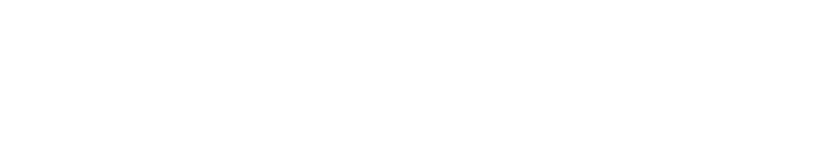 Insurance Fest Logo White