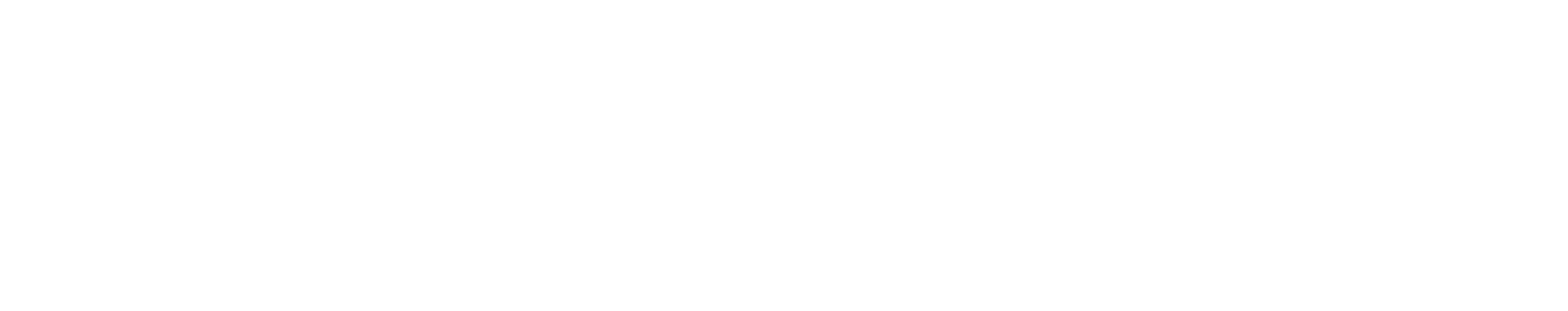 Insurance Fest Logo White