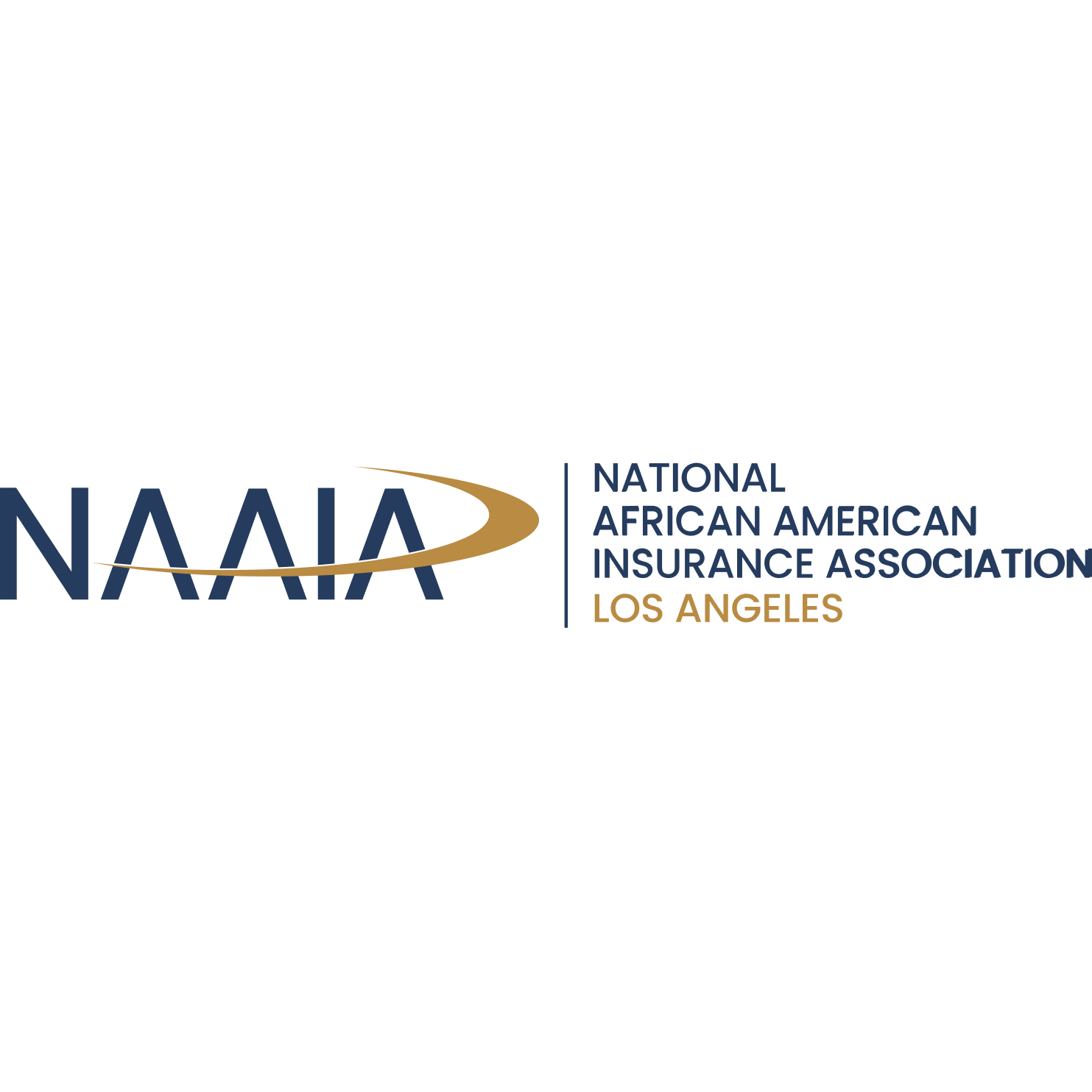 NAAIA Los Angeles